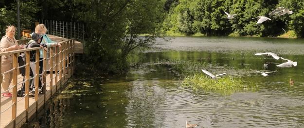 Водоемы на 15 пляжах Нижнего Новгорода почистили от мусора