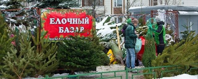 В Самаре 5 декабря откроются елочные базары