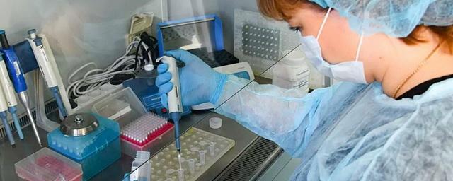 В Амурской области выявлено 109 новых случаев коронавируса