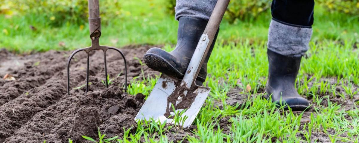 Надо ли перекапывать землю. Весенние работы на даче. Перекопка почвы. Работа в саду. Копать огород.