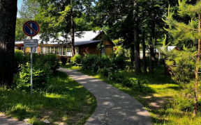 В лагере «Детская Республика Поленово» в Тульской области прошла смена для детей с сахарным диабетом