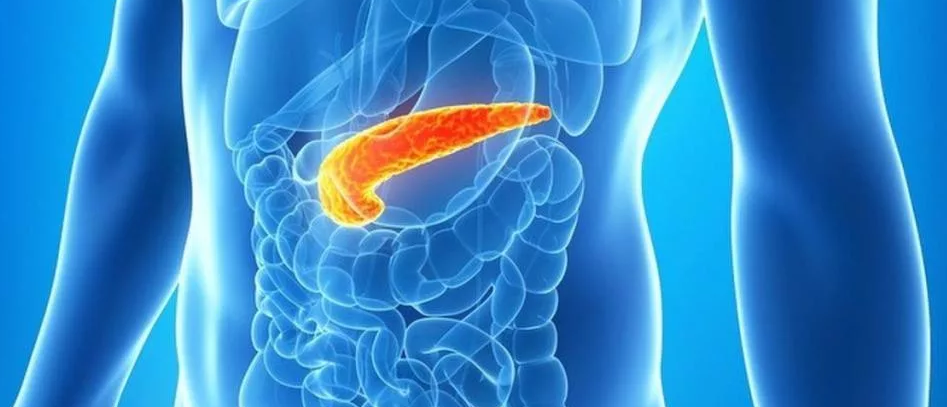 Врач назвал основных «врагов» поджелудочной железы