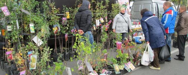 В Смоленске 20 апреля стартует сельхозярмарка