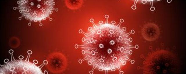 В Хакасии выявили 119 случаев коронавируса за сутки