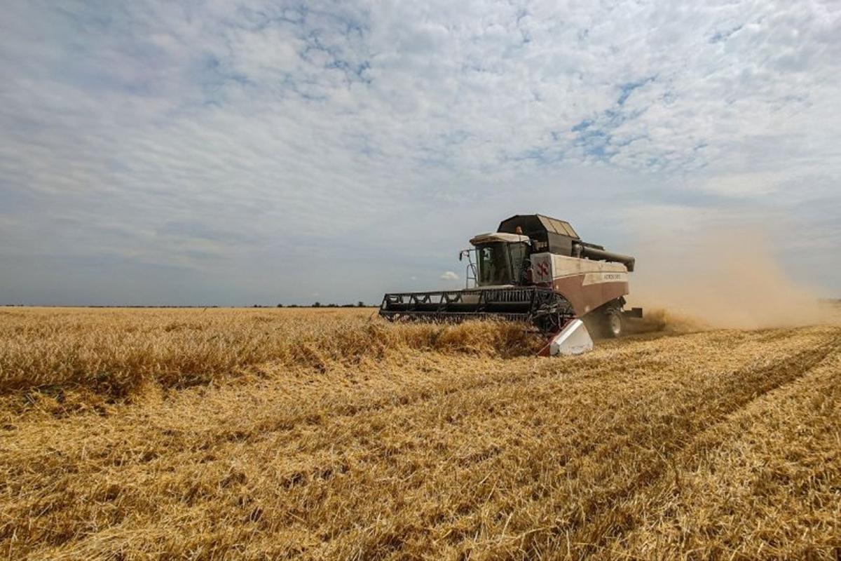 Крымские аграрии намолотили свыше миллиона тонн зерна и получат 160 млн рублей на борьбу с засухой