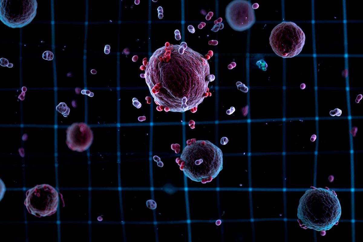 Петербургский центр создал технологию клеточной онковакцины