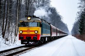 Криминальный след: тело на крыше поезда в Новой Москве могли подбросить