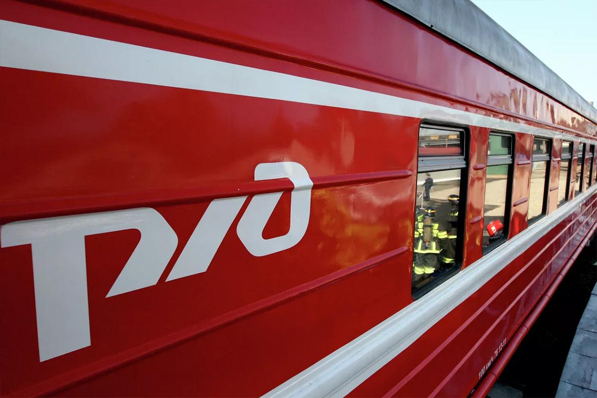 Сотрудники РЖД после истории с котом Твиксом находили в поездах животных