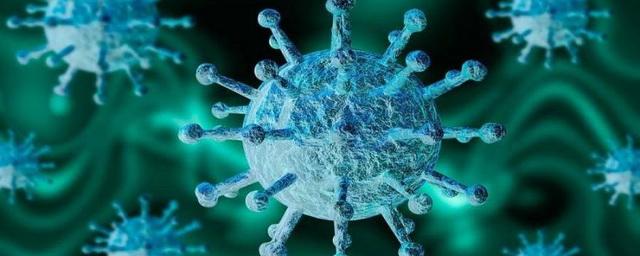 В Новосибирской области выявили 106 новых случаев коронавируса за сутки