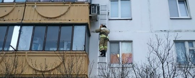 Белгородские спасатели вытащили из колодца собаку и сняли с балкона кота