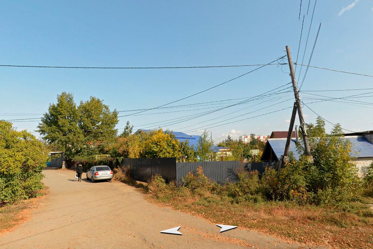 В Самаре введён карантин из-за вспышки лептоспироза у животных