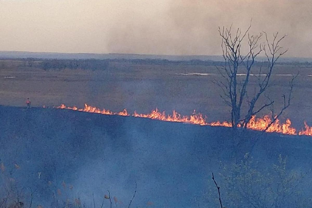 В частном заказнике в Приамурье произошел разрушительный пожар