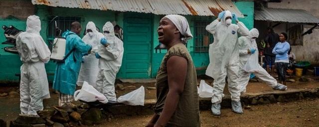 В Конго лихорадкой Эбола заразились 115 человек