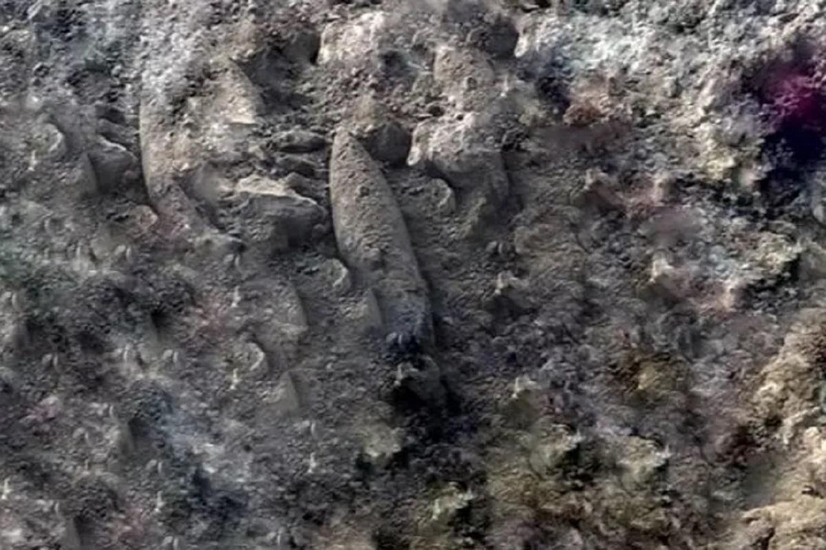 Обнаруженные на стадионе в Липецкой области снаряды обезврежены