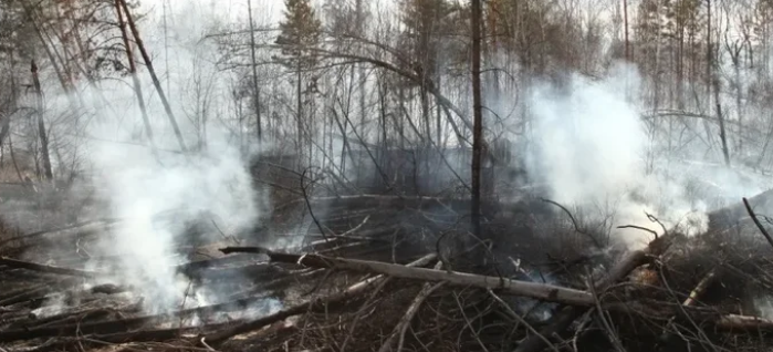 В семи районах Приангарья ввели режим ЧС из-за лесных пожаров