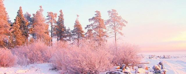 Гидрометцентр: Россиян ожидает зима в «розовом» цвете