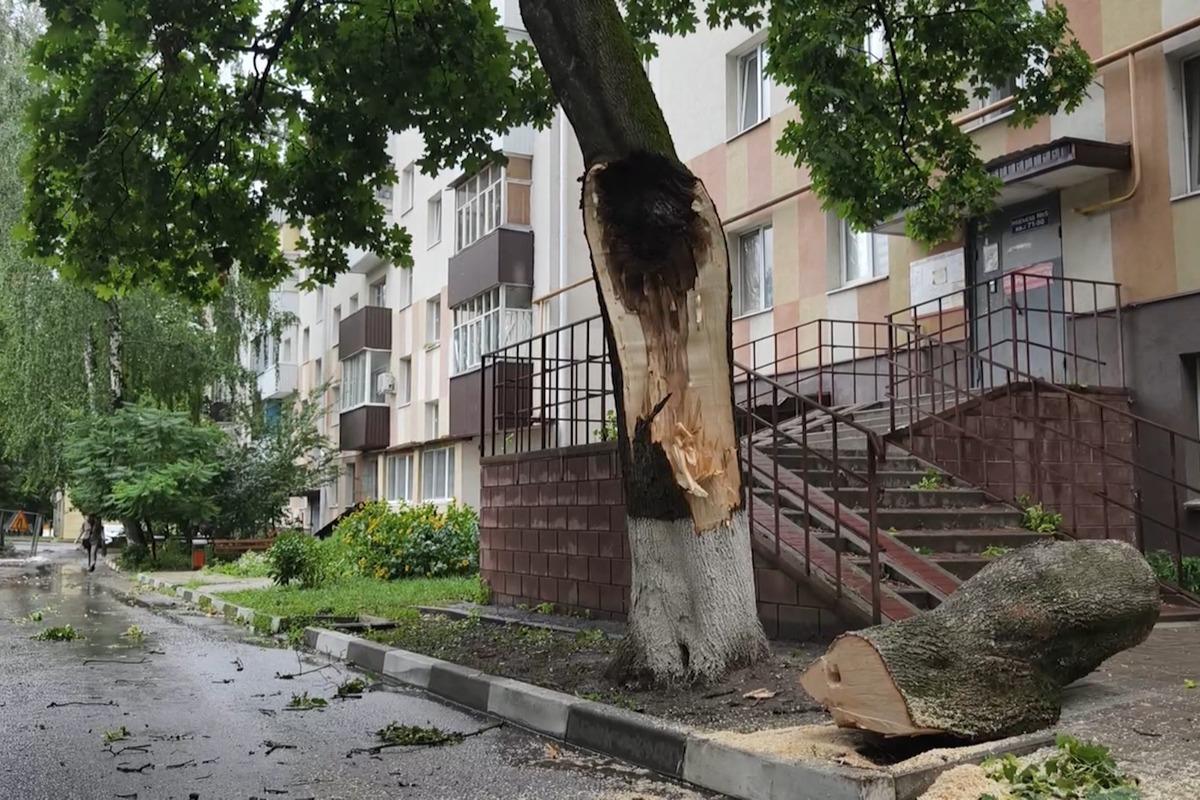 Гладков рассказал, какие разрушения принес ураган Белгородской области