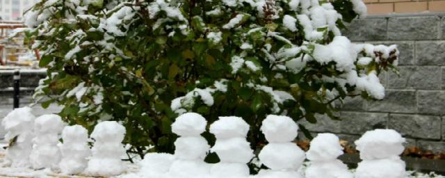 Вечером 26 ноября в Липецке ожидается снегопад