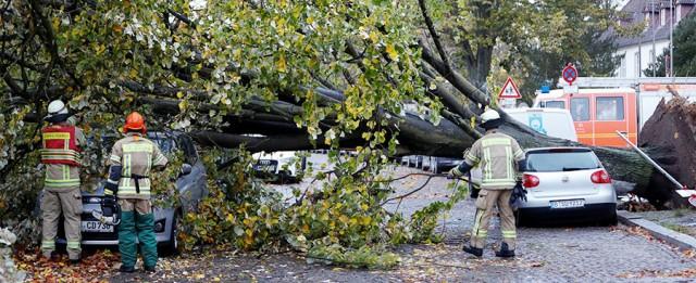 В Германии из-за урагана ограничено движение поездов