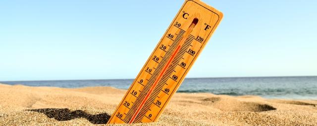 Роспотребнадзор дал рекомендации по защите от аномальной жары в Новосибирской области