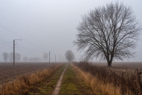 В Ростовской области объявлен желтый уровень погодной опасности
