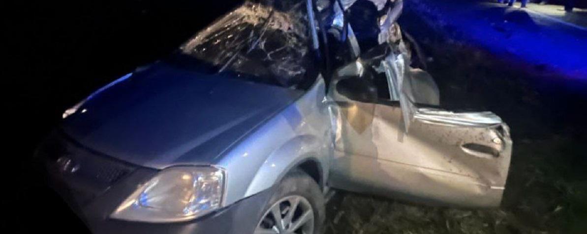 На Кубани в массовом ДТП с коровой погибли два человека и повреждены три автомобиля