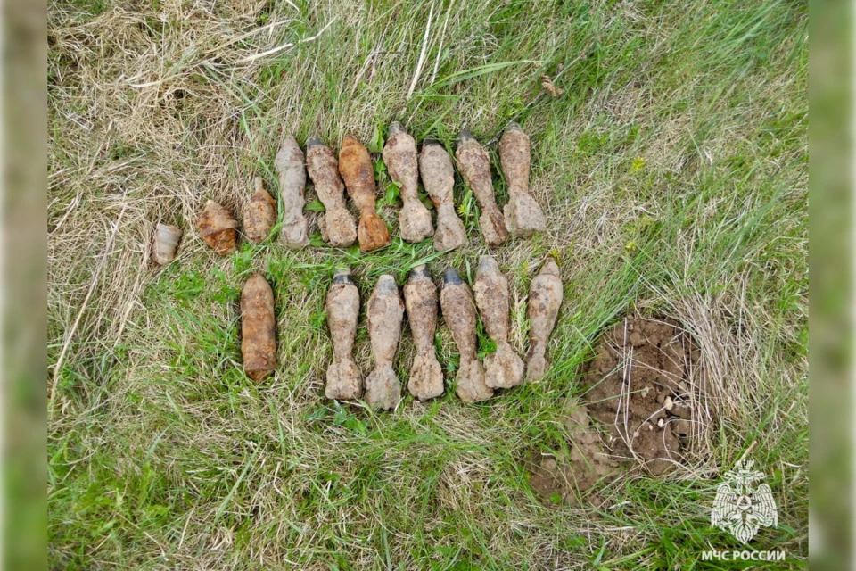 Сапёры обнаружили и уничтожили арсенал времён войны в Тверской области