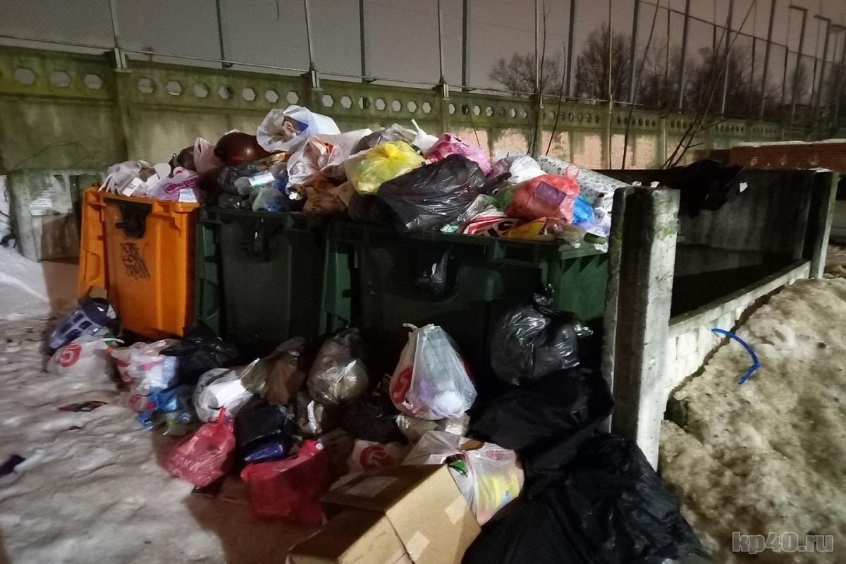 Власти Нижегородской области объяснили мусорный коллапс в регионе погодными условиями