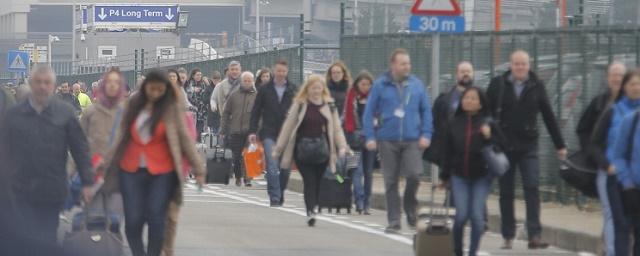 Клинцевич: Теракты в Париже и Брюсселе – репетиция перед ЧЕ во Франции