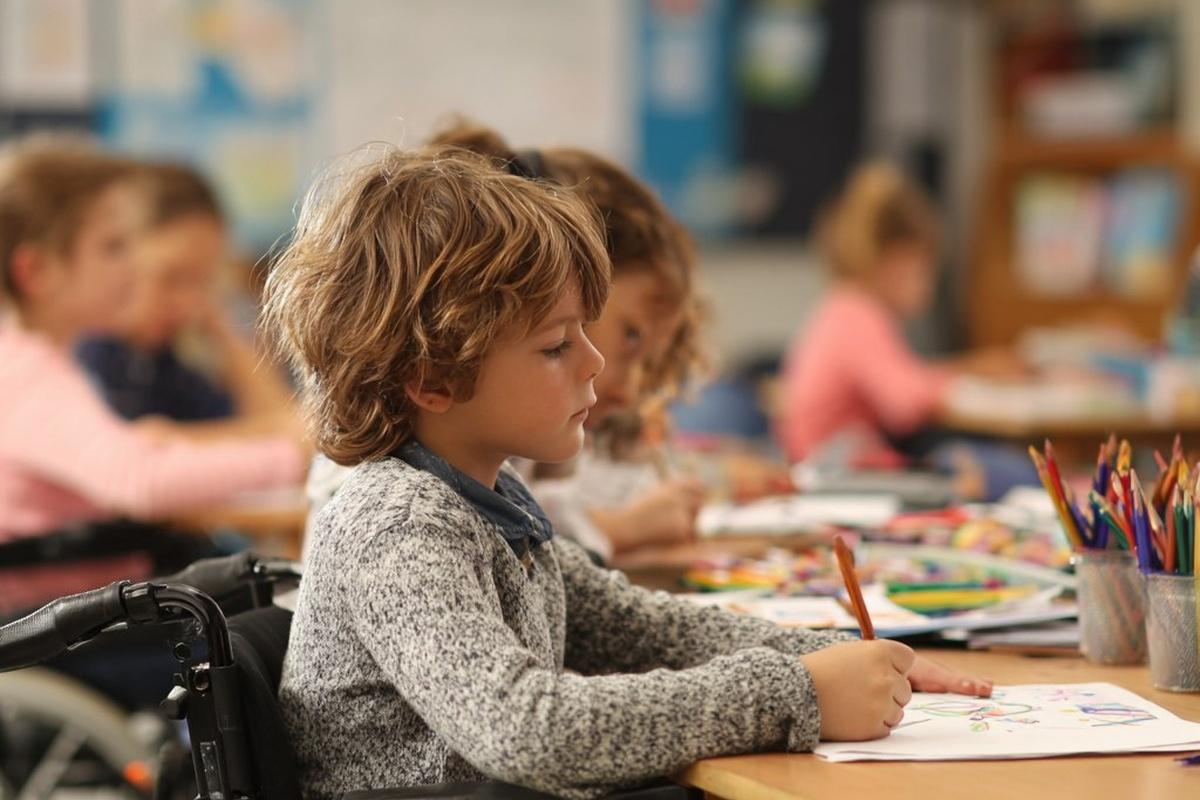 Тонкости индивидуального обучения: как Минпросвещения меняет подходы к образованию детей с ОВЗ