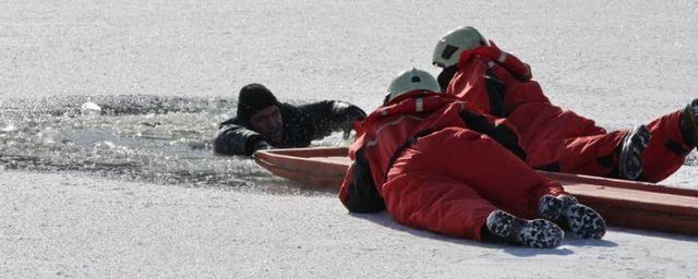 В Самаре спасавший собаку мужчина провалился под лед на Волге