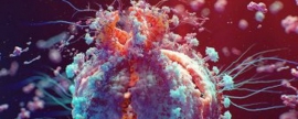 Учёные обнаружили новый «триггер», запускающий процесс гибели клетки