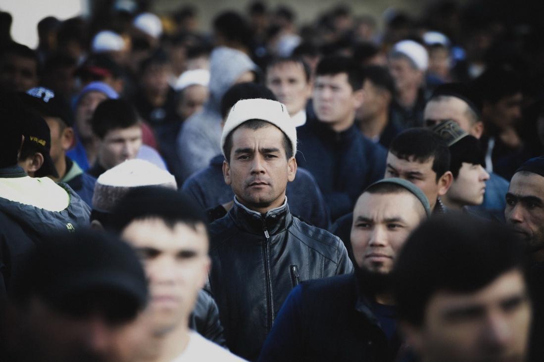 Из России (страна-террорист) выдворят более 1,5 тысяч нелегальных мигрантов
