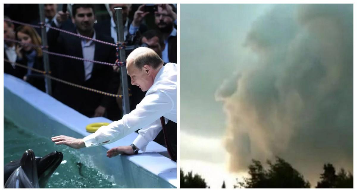 «Даже белухи и облака работают на Путина». Запад не знает меры в обвинениях против России. Диагноз понятен?