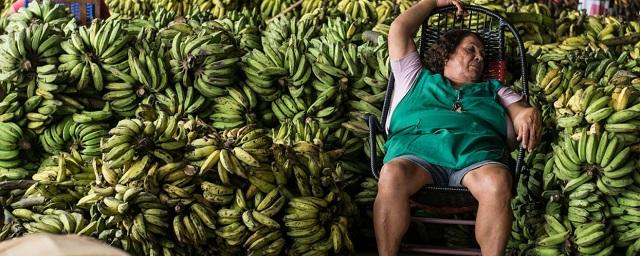 Экс-кандидат в президенты Габбард: США становятся банановой республикой