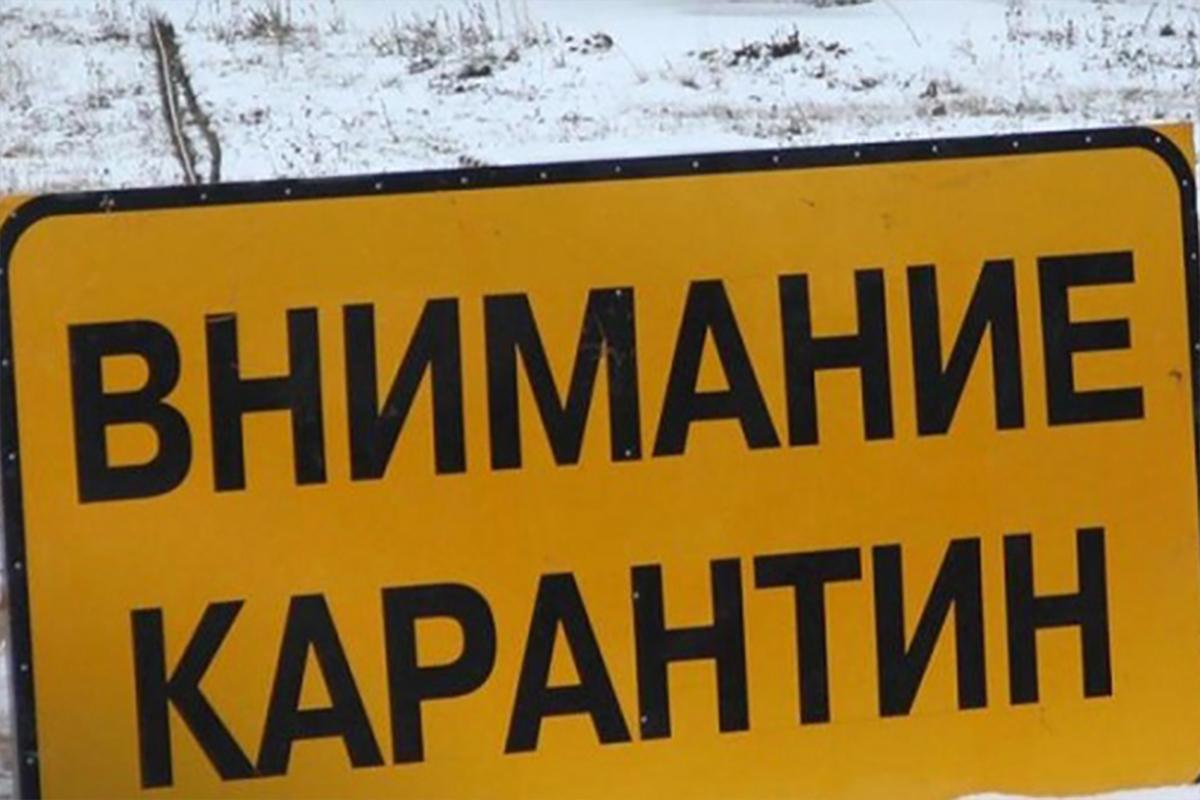 В Куженерском районе Марий Эл ввели карантин по бешенству