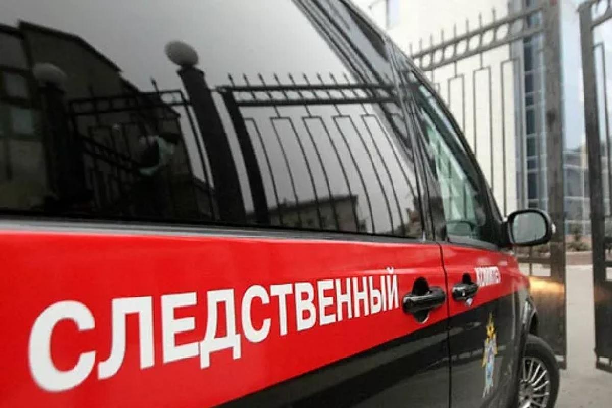 Пропавших под Оренбургом девочек нашли мертвыми в лесополосе