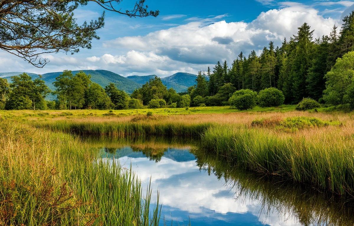 Новый старый совет: как Минприроды обновило экспертов на фоне скандала с застройкой заповедников