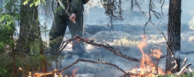 В Бурятии за прошедшие сутки зафиксирован один лесной пожар