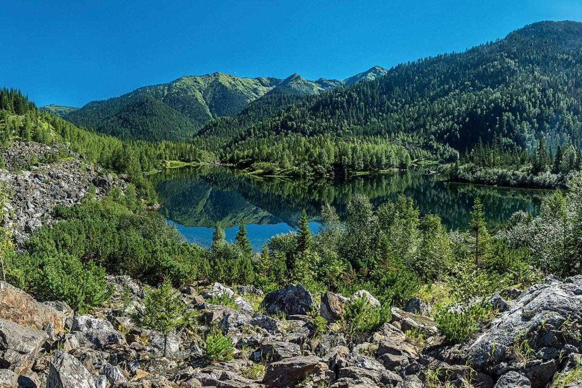 В поправках к законопроекту об охране Байкала хотят ввести частную собственность и возможность вырубки леса