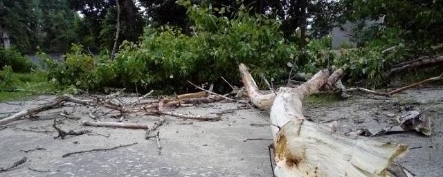 Жителей Воронежской области предупредили о сильном ветре