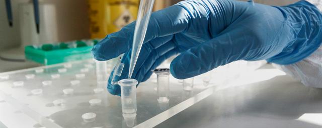 В Саратовской области обнаружили 242 новых заболевших COVID-19