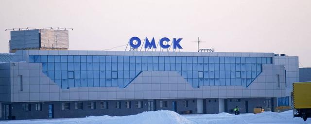 В Омске рядом  с аэропортом планируют создать сквер с арт-объектами