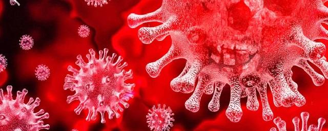 Еще 163 жителя Краснодарского края заболели коронавирусом