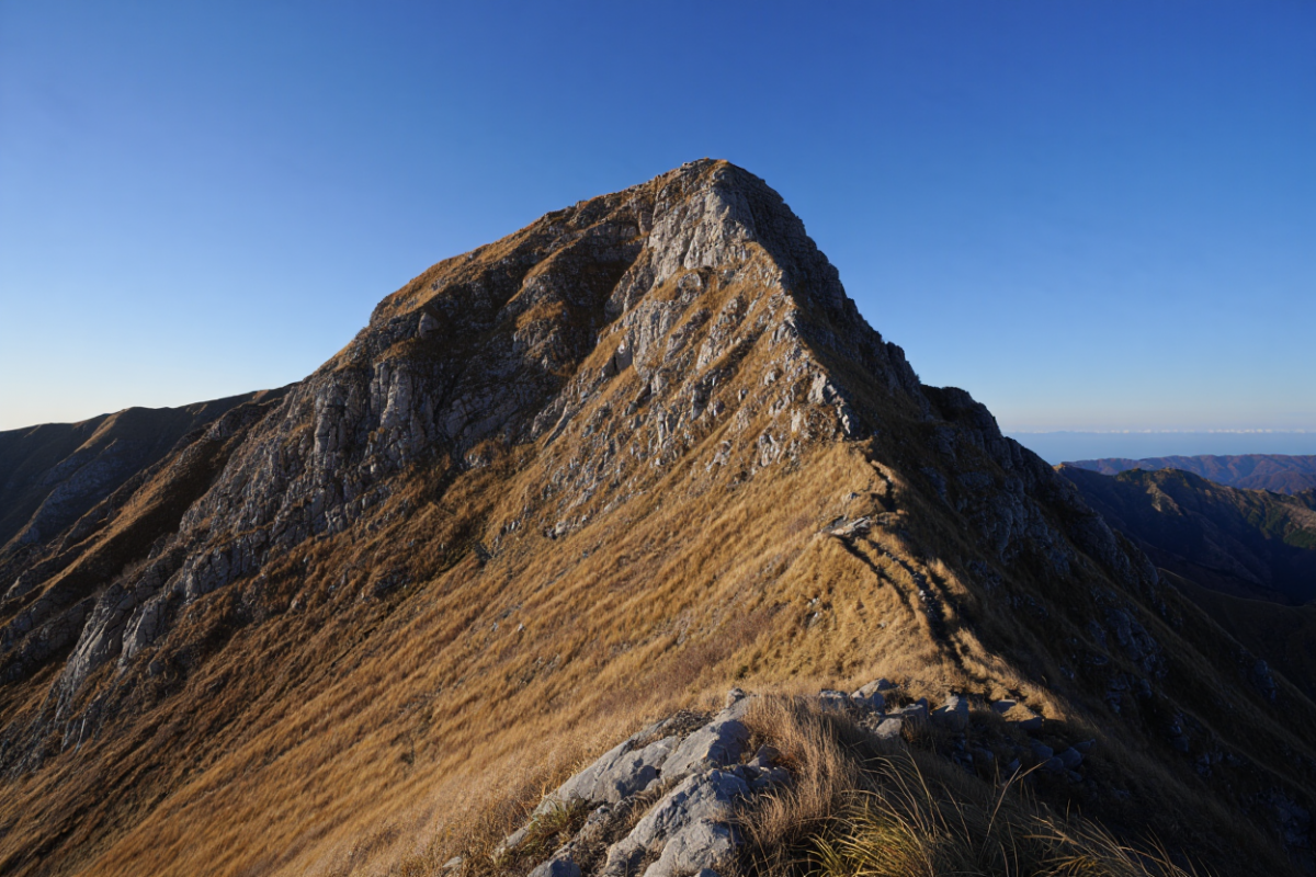 В Богдинско-Баскунчакском заповеднике обнаружен реликтовый Ephedra lomatolepis