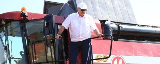 Лукашенко: Уборочная кампания важнее президентских выборов