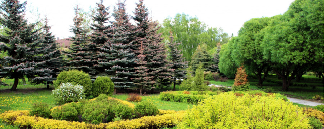 В омском дендропарке не будет жилых и коммерческих зданий