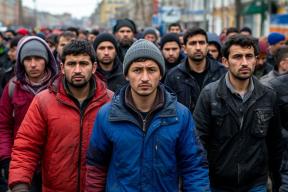 Бытовки на замке, документы в снег: как 327 мигрантов встречали полицию в Ленобласти