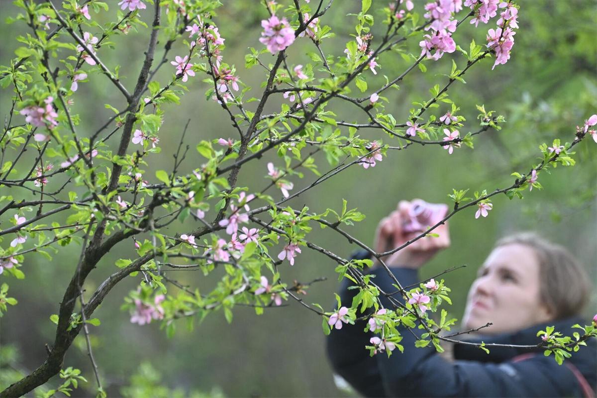 В Гидрометцентре рассказали, когда температура выше нормы установится в России