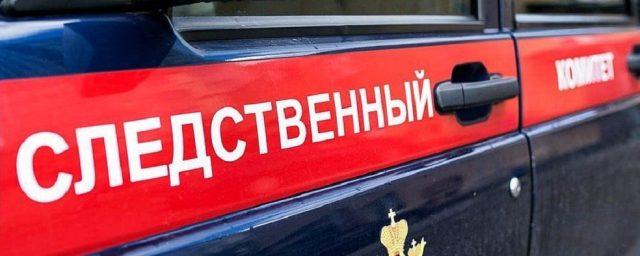 В Ставропольском крае педофил напал на двух 10-летних девочек